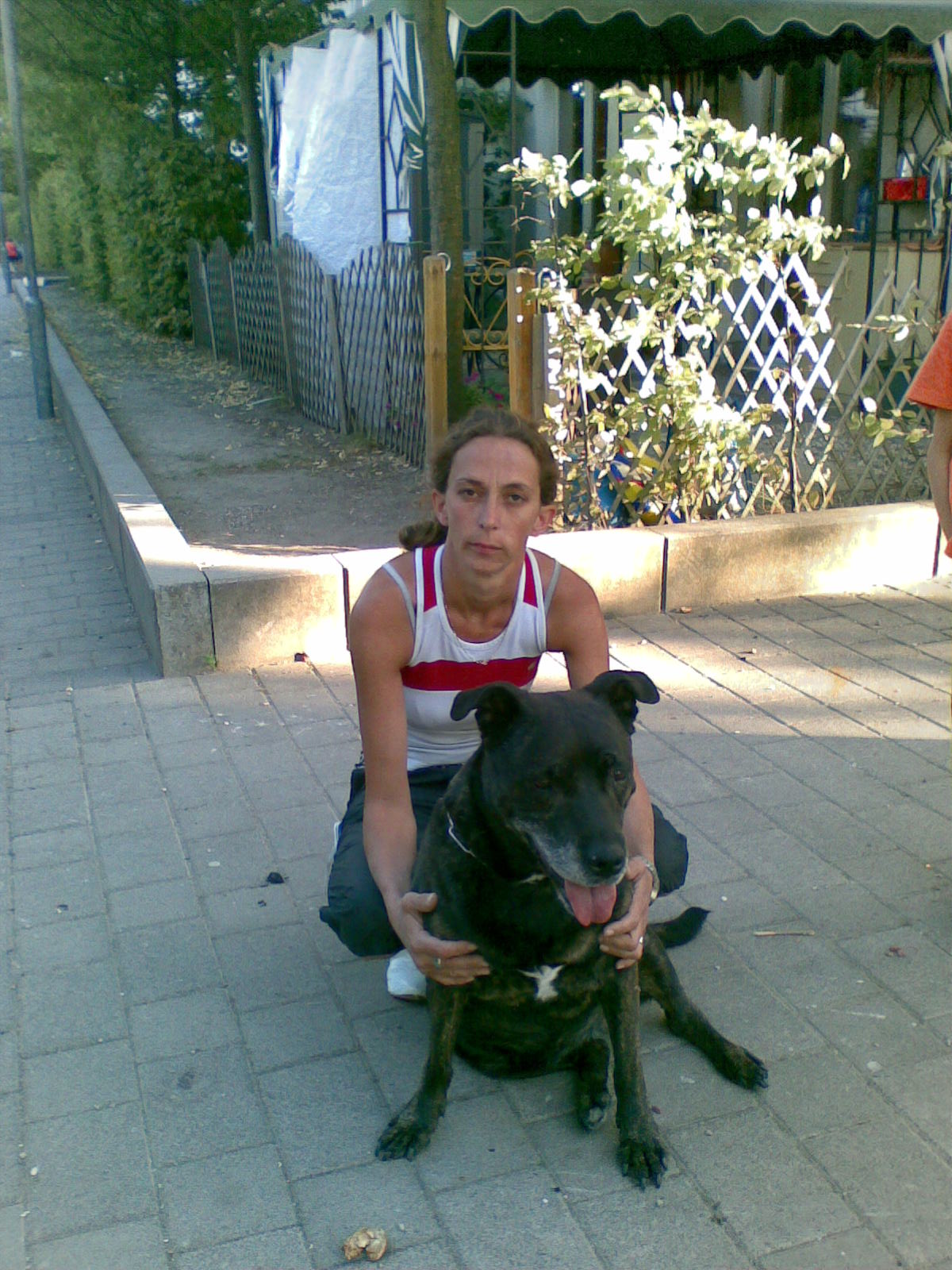 dasiy09 Mal Sehen, Was Sich So Ergibt in Mainz