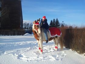 Nuevo11 Freundschaft und Beziehung in Blankenburg (Harz)